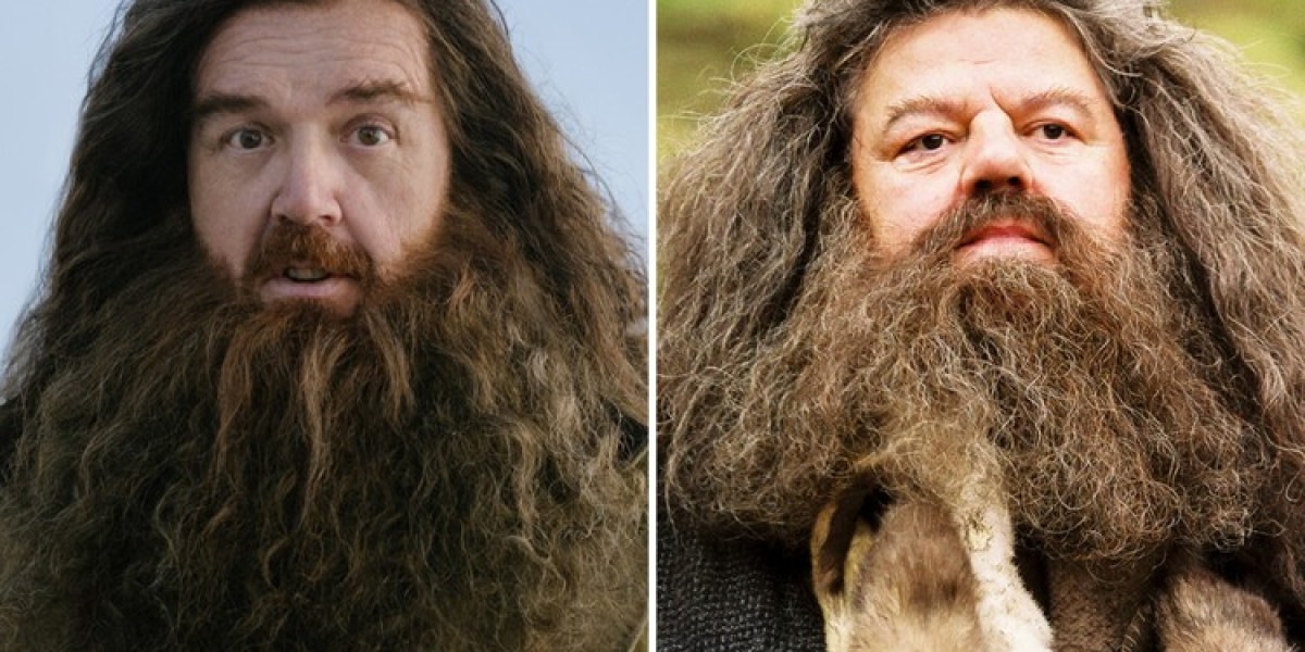 Harry Potter Series: Nick Frost’s Unique Hagrid Audition